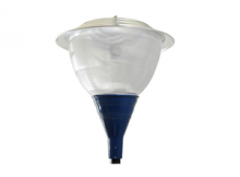resized image